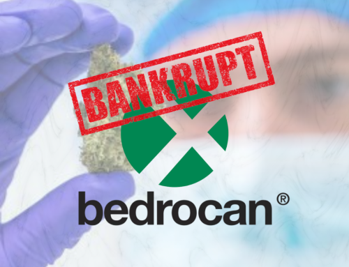 Dutch Medical Cannabis Giant Bedrocan Goes Bankrupt