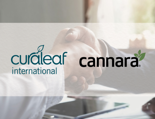 Cannara and Curaleaf Strengthen Ties Across Global Cannabis Supply Chain