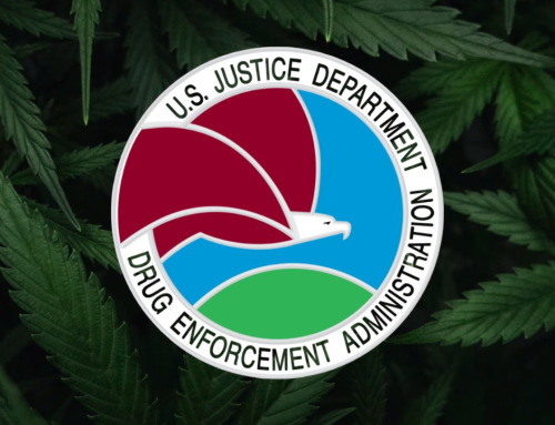 DEA Calls Cannabis Rehearing Bid a Prohibitionists’ “Fishing Expedition”