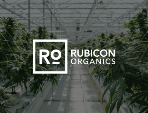 Rubicon Secures Strategic Capital to Upgrade Pacifica Facility