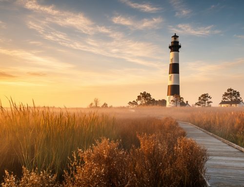 North Carolina Voters Overwhelmingly Support Cannabis Legalization